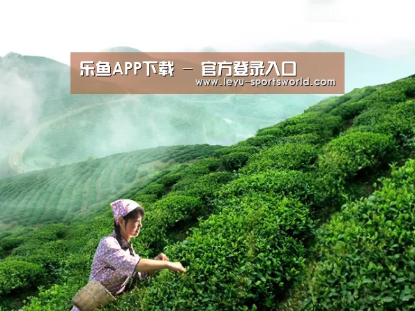 乐鱼APP下载 - 官方登录入口